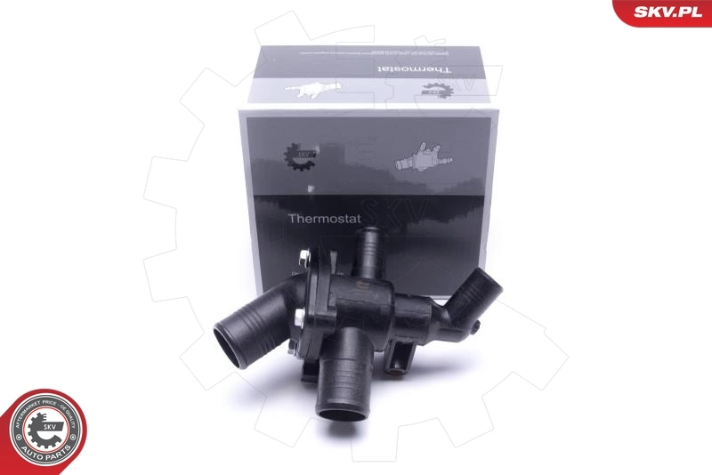 Thermostat, coolant